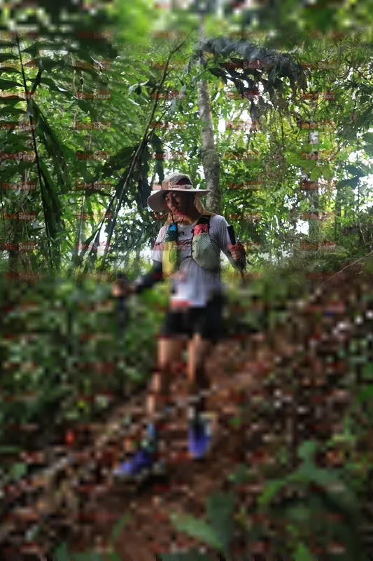 Photo ID 5511591