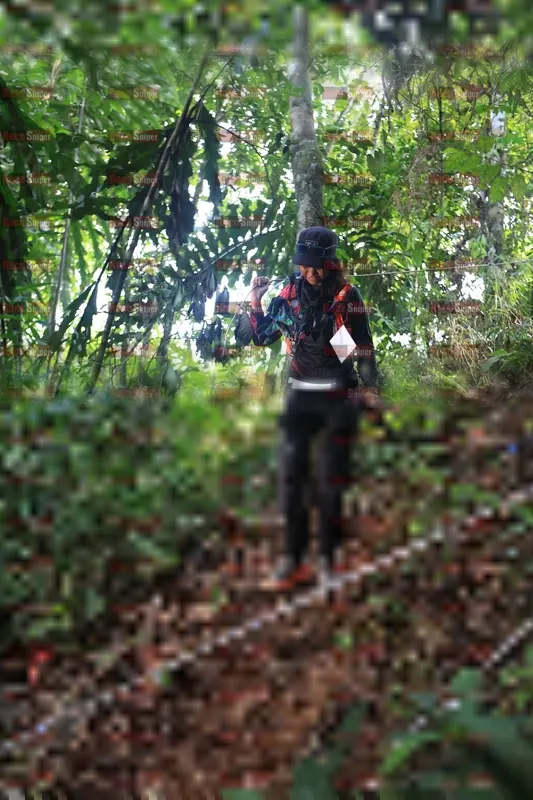 Photo ID 5511845