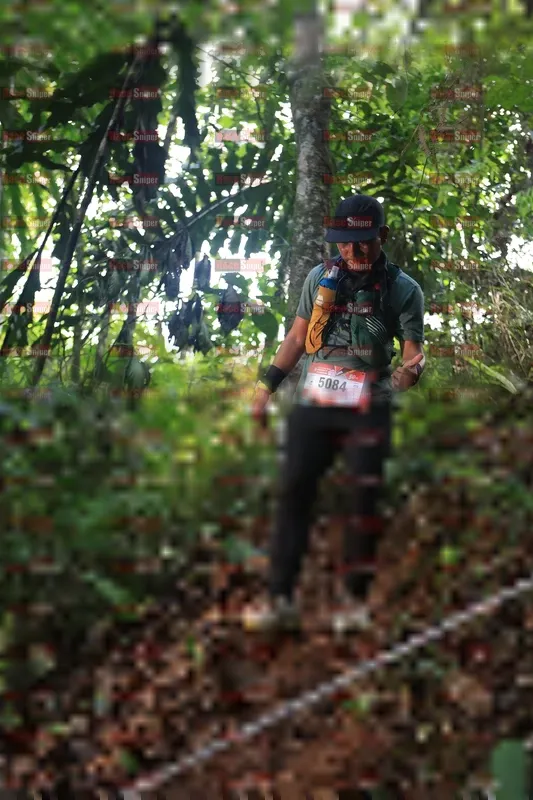 Photo ID 5511902