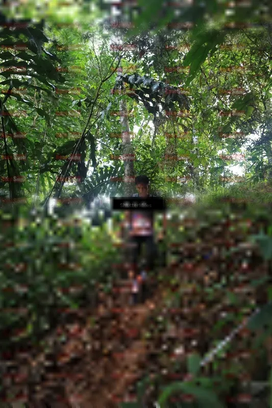 Photo ID 5512122