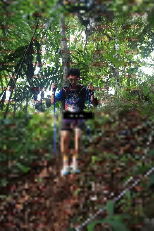 Photo ID 5512132