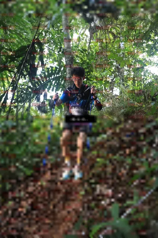 Photo ID 5512137
