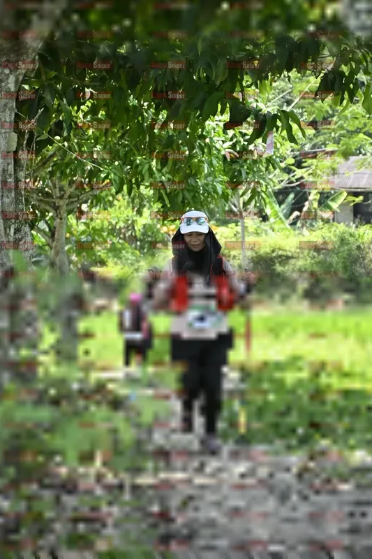 Photo ID 5522557