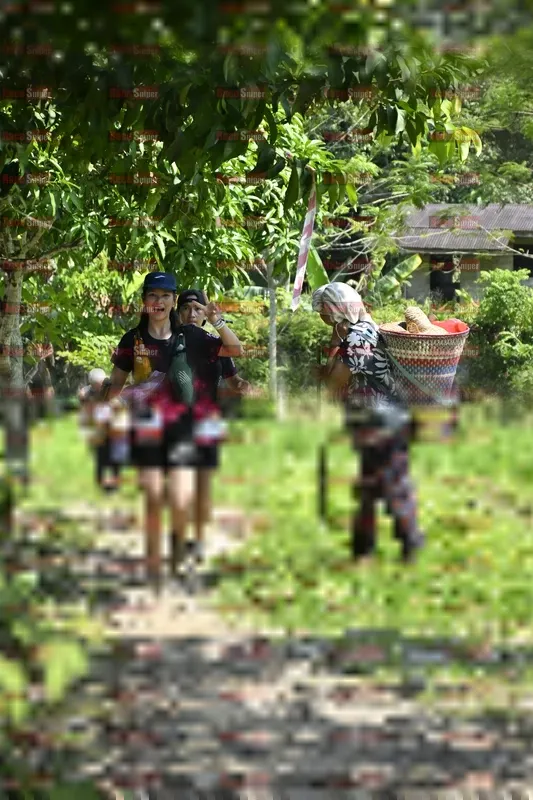 Photo ID 5562404