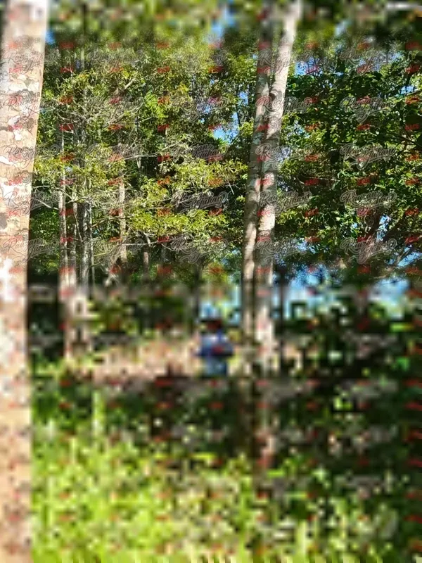 Photo ID 5600
