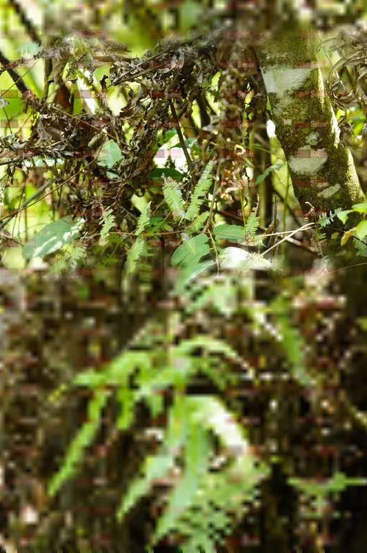 Photo ID 5691403