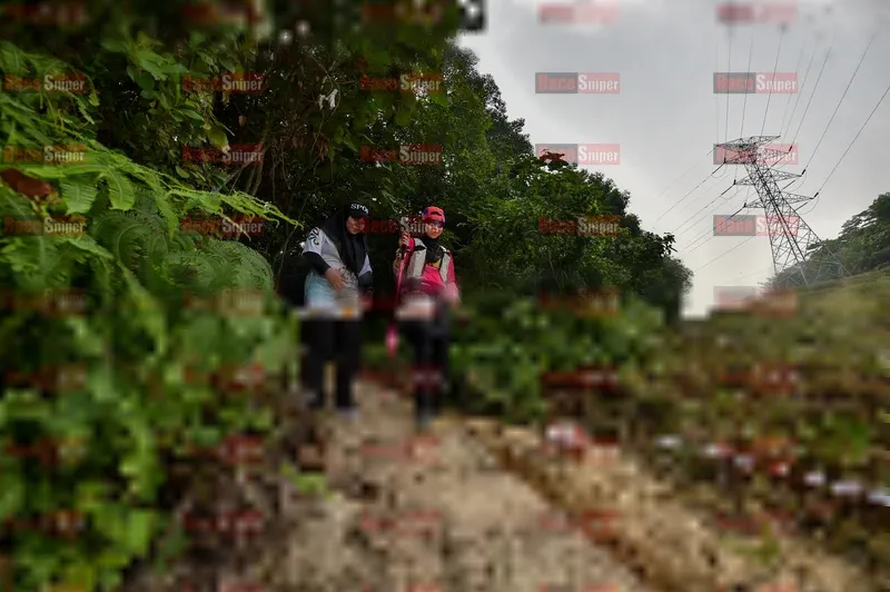 Photo ID 5872507