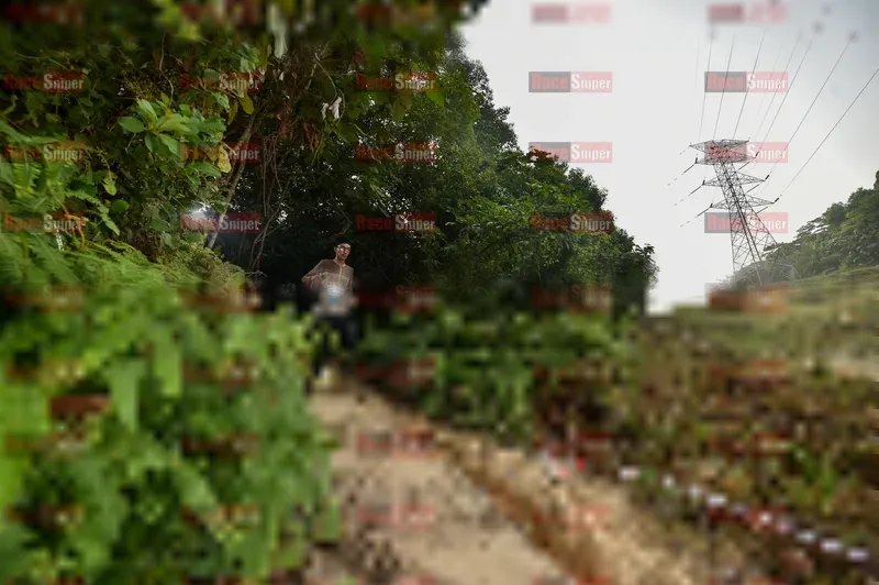 Photo ID 5873067