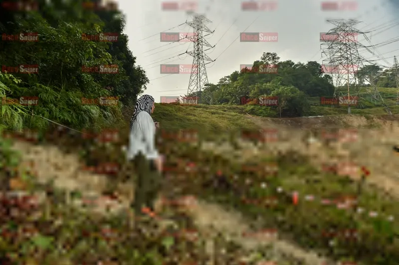 Photo ID 5899026