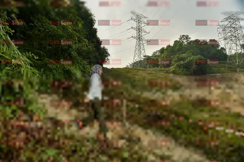 Photo ID 5899029