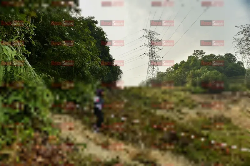 Photo ID 5899212
