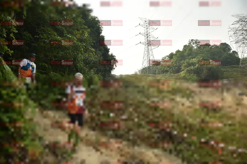Photo ID 5922042