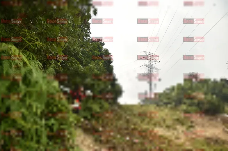 Photo ID 5941043