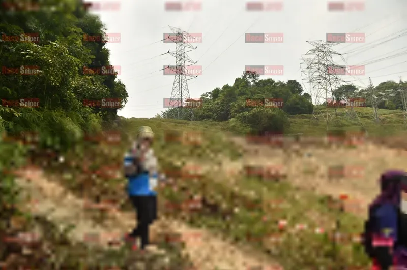 Photo ID 5941429