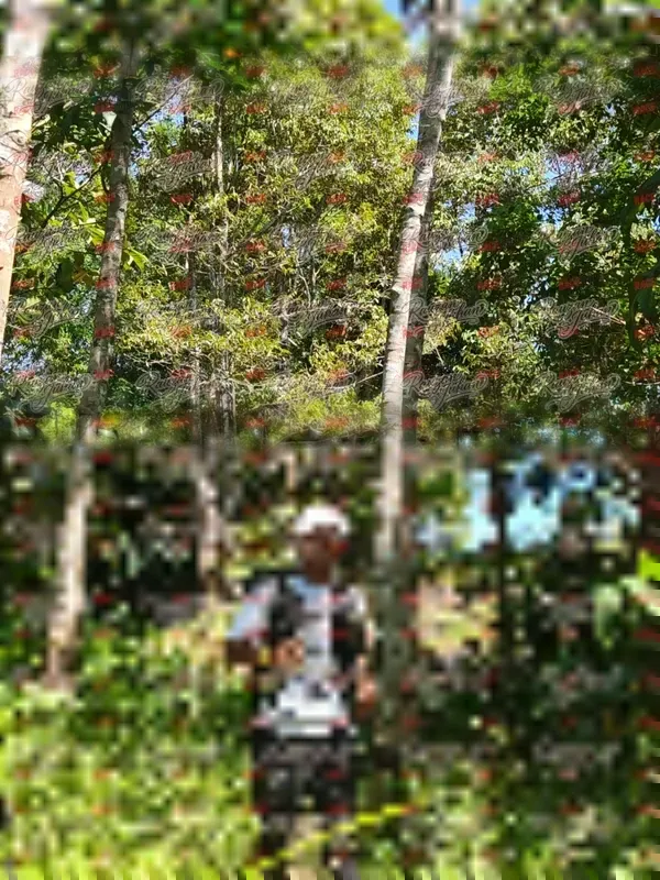 Photo ID 5992