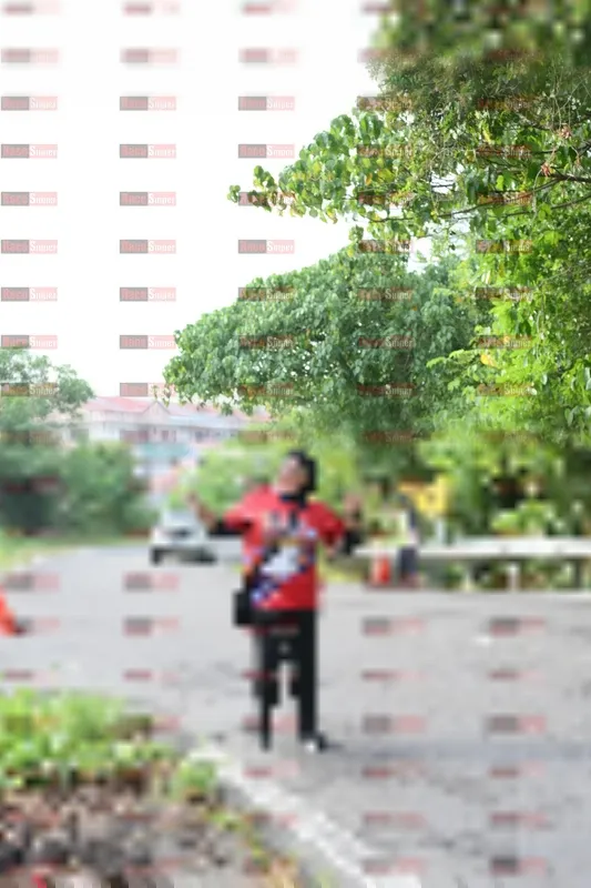 Photo ID 6000015