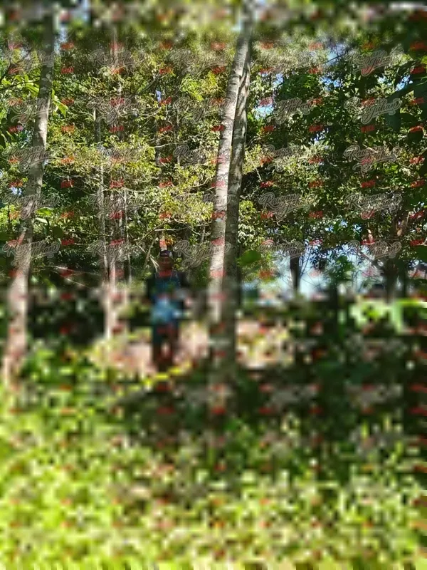 Photo ID 6004