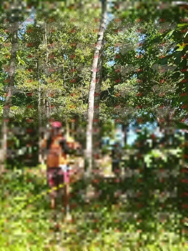 Photo ID 6024
