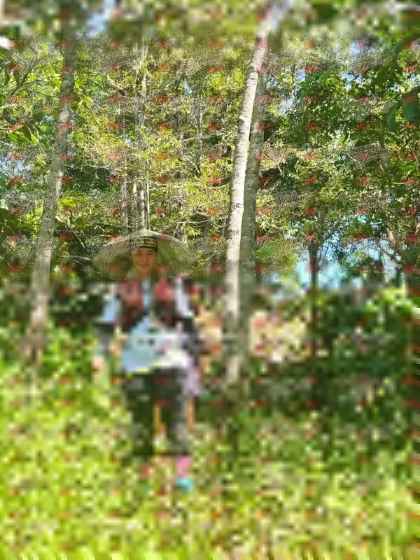 Photo ID 6033