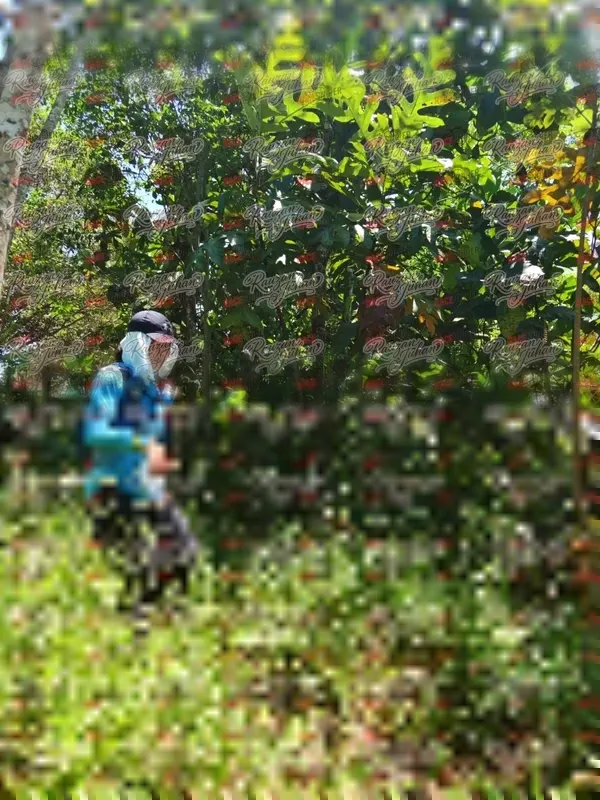 Photo ID 6215