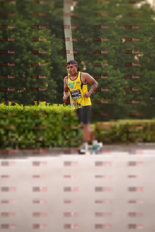 Photo ID 6296838