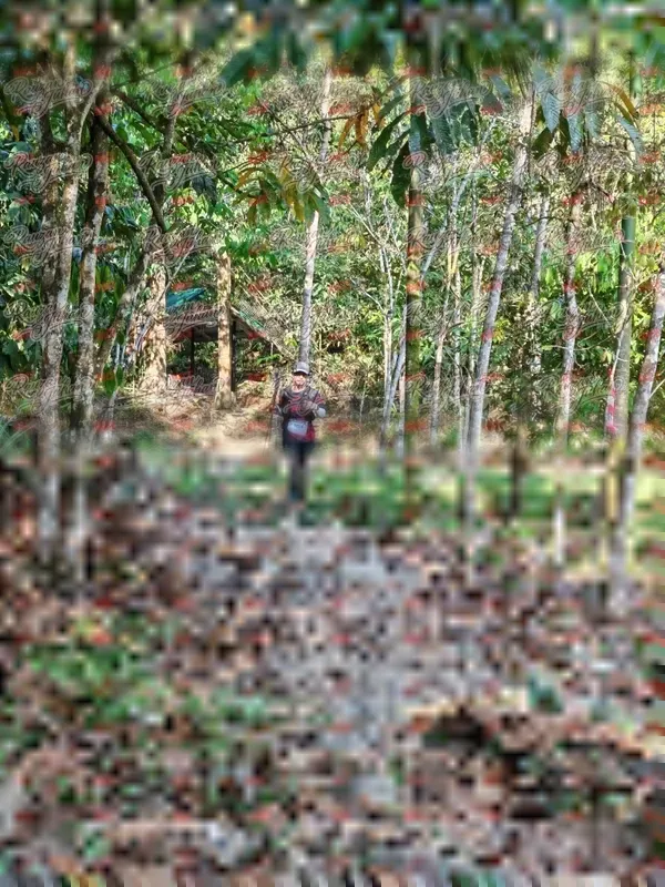 Photo ID 6363