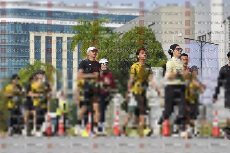Photo ID 6474286