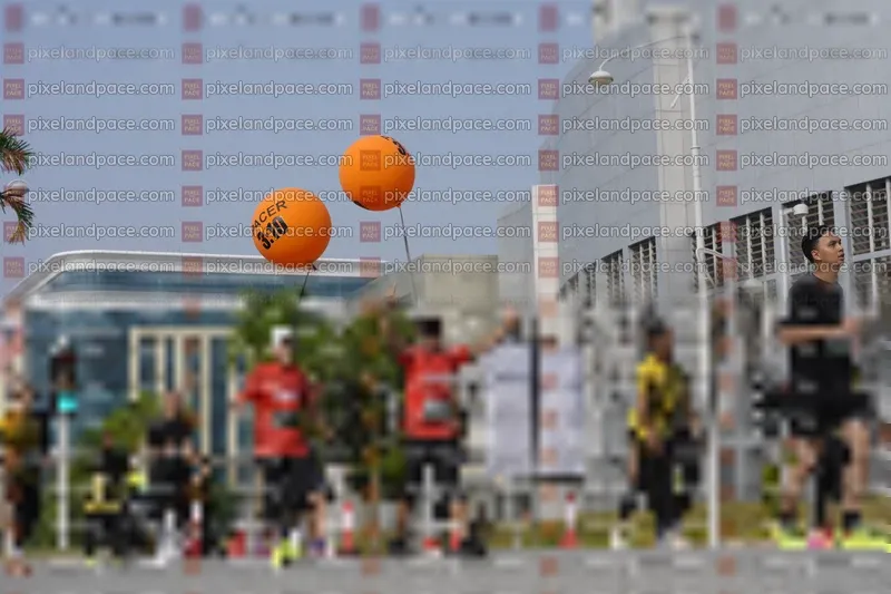 Photo ID 6491121