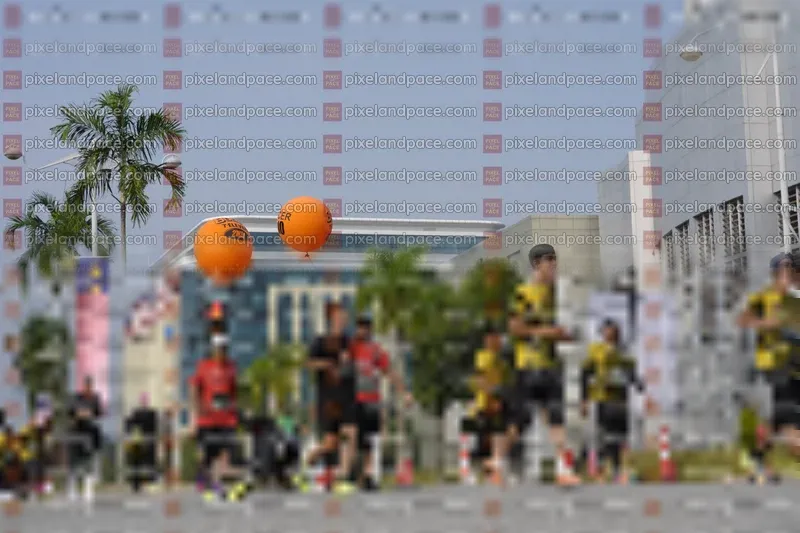 Photo ID 6491163