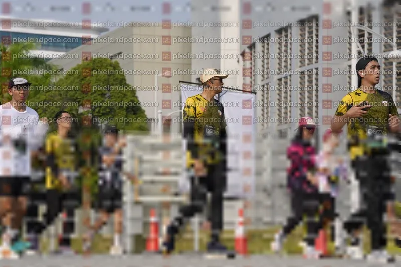 Photo ID 6491478