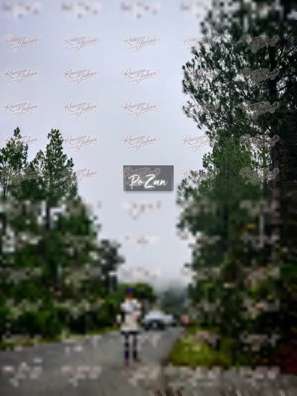 Photo ID 657987