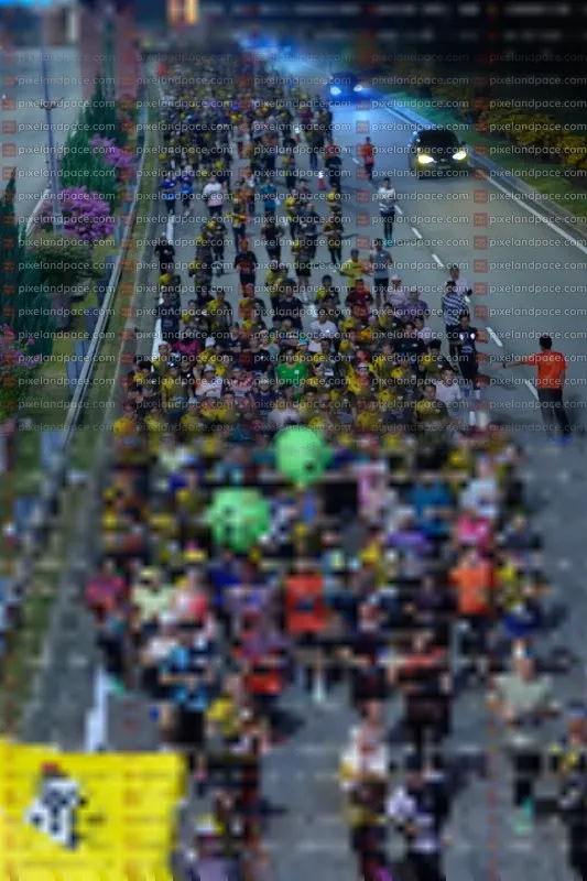 Photo ID 6595013