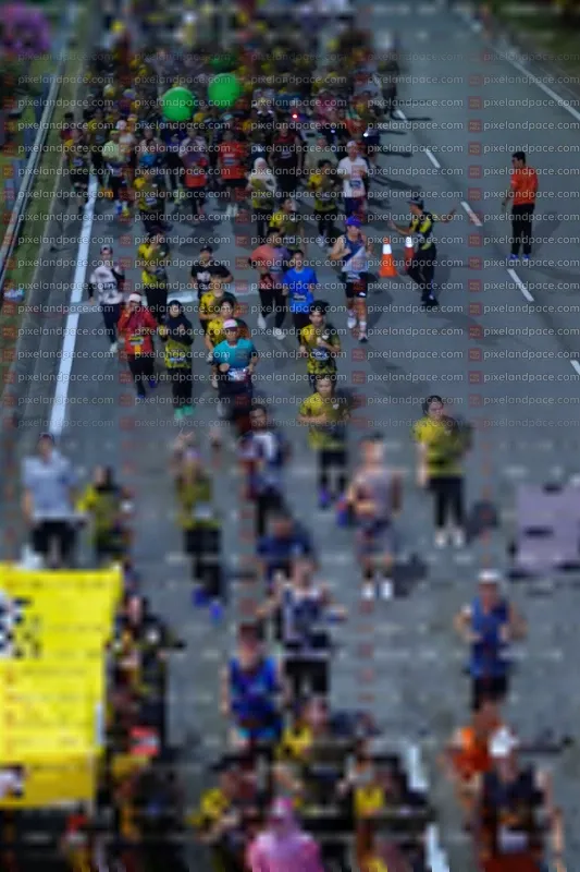 Photo ID 6595125