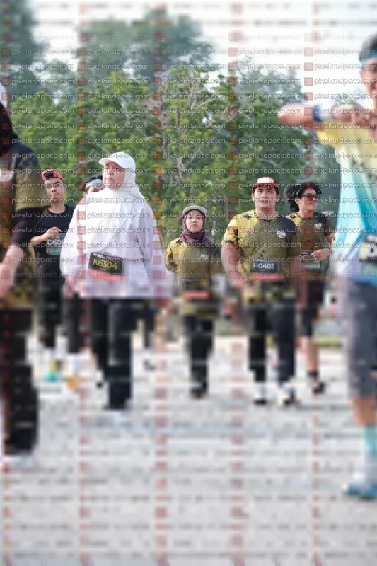 Photo ID 6785131