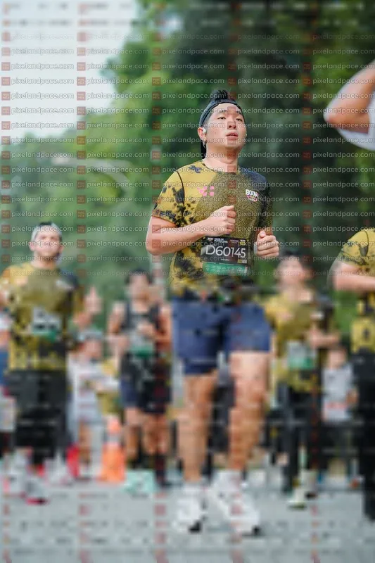 Photo ID 6866756