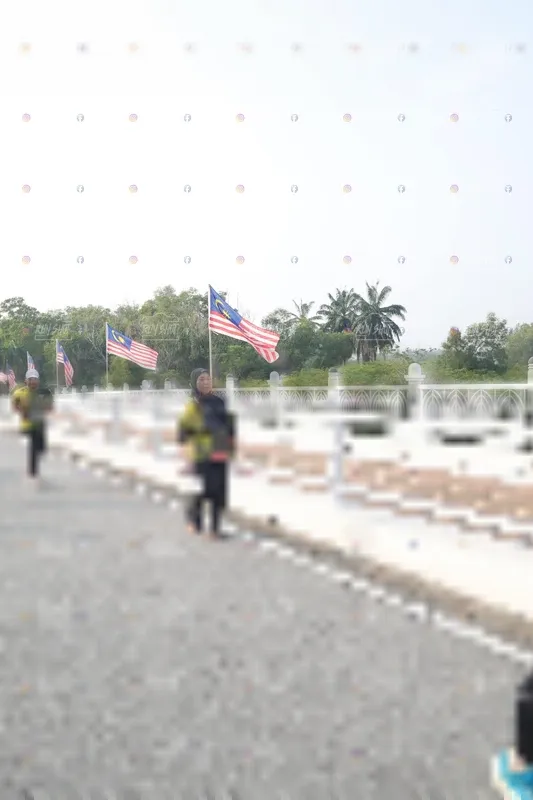 Photo ID 6879224