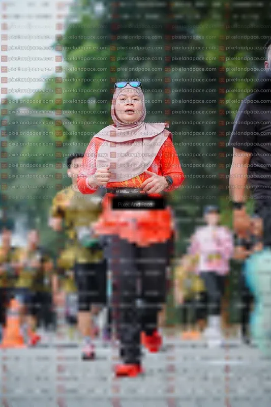 Photo ID 6905148