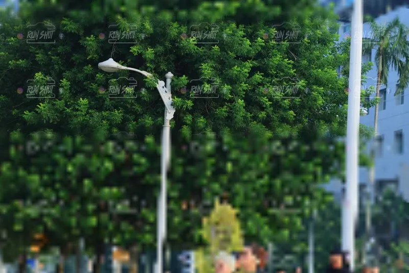 Photo ID 6987770