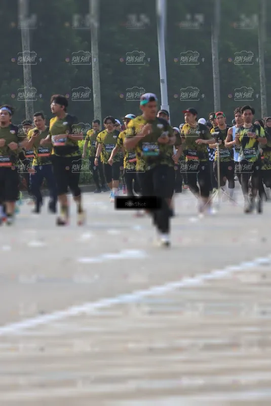 Photo ID 6997188