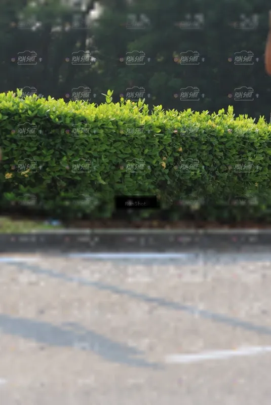 Photo ID 7001447