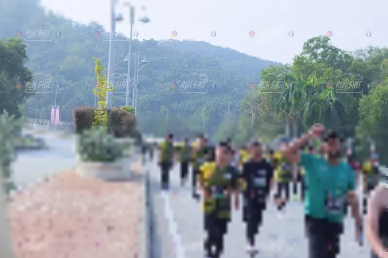 Photo ID 7186027