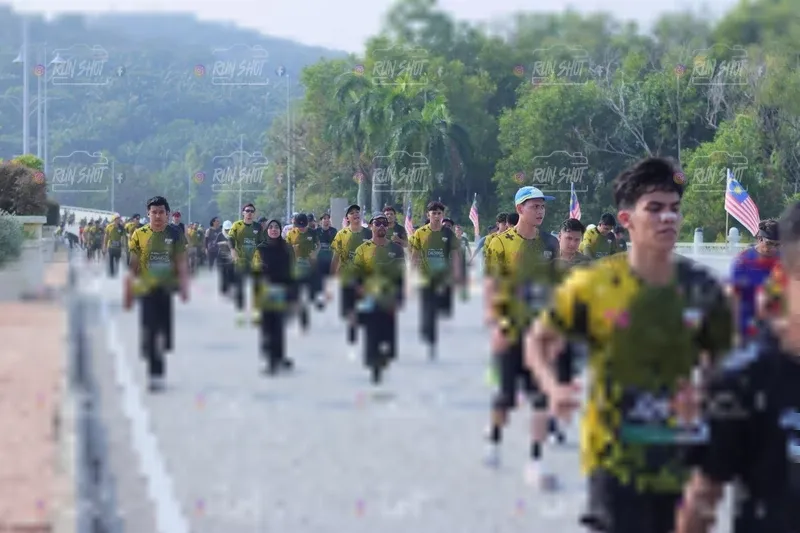 Photo ID 7186234