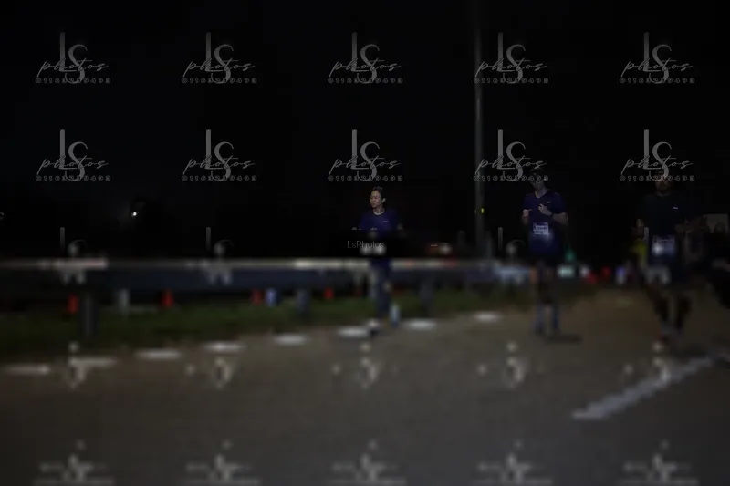 Photo ID 7356777