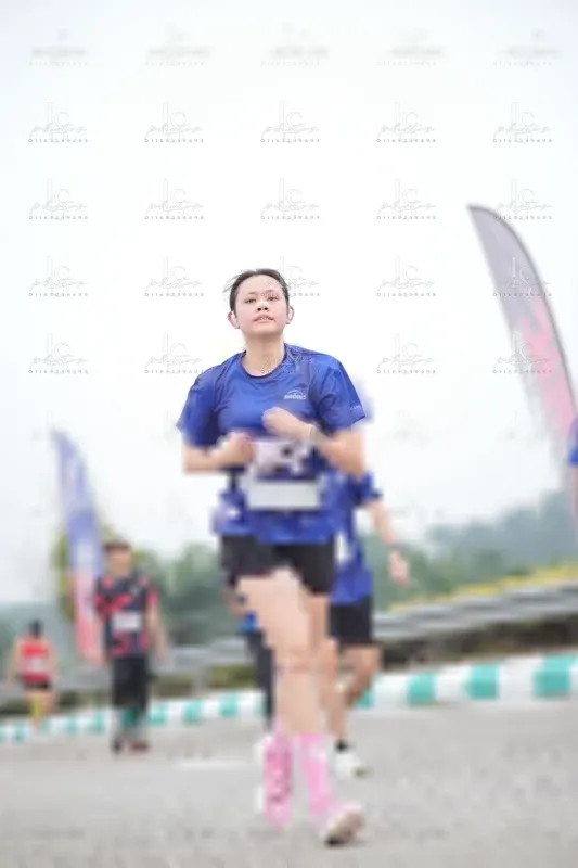 Photo ID 7391234
