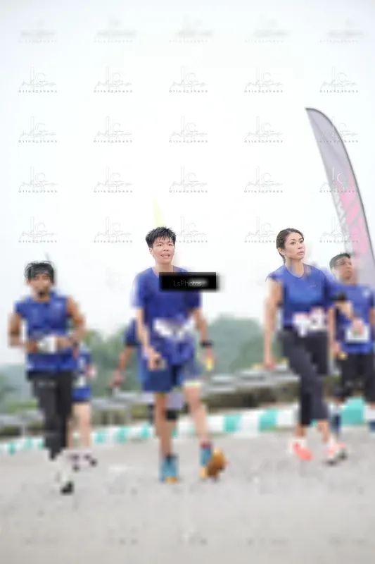 Photo ID 7391299