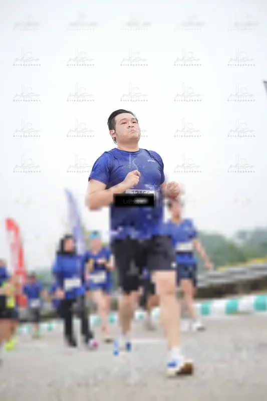 Photo ID 7391646