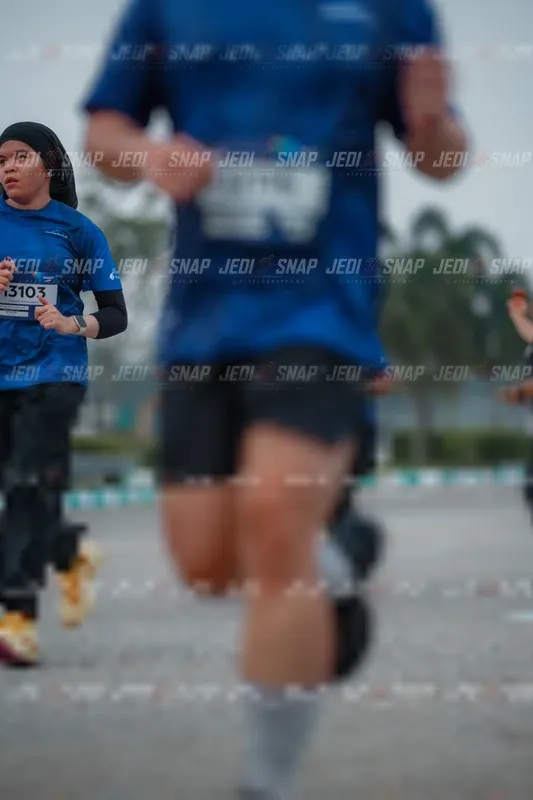 Photo ID 7533237