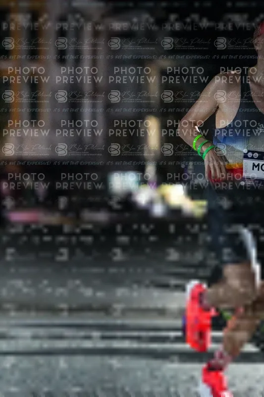 Photo ID 7686796