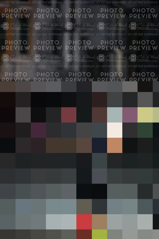 Photo ID 7702101