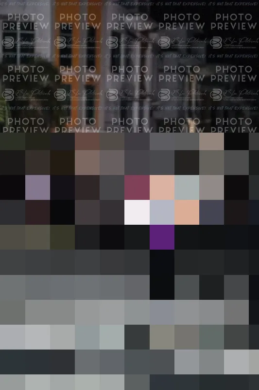 Photo ID 7702226